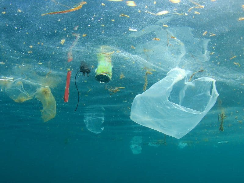 Jak ograniczyć zużycie plastiku w domu i firmie?